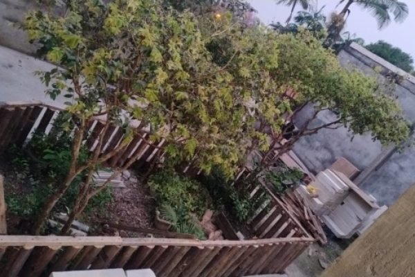 Casa-Jardim-Ang-01